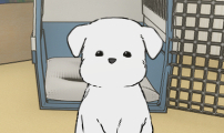 강아지별