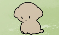 강아지별