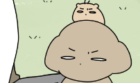 강아지별