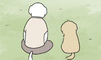 강아지별