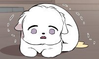 개같이 탈출