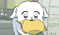 개같이 탈출