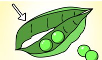 K학원 생존기