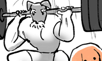 개집사