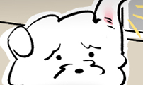 개집사