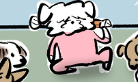 개집사