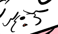 개집사