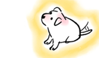 개집사