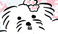 개집사