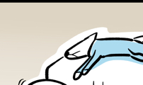개집사