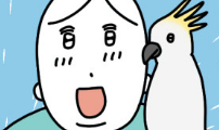 고고밍밍고