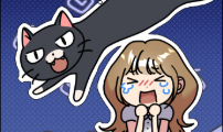 냥냥찍찍!
