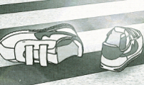화분
