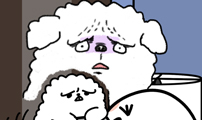 윌유메리미