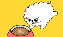 윌유메리미