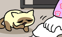 윌유메리미