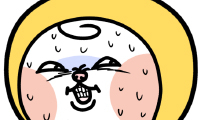 윌유메리미