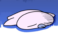 윌유메리미