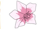 착한 여자 안선해