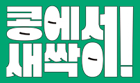 콩에서 새싹이!