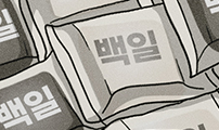 콩에서 새싹이!