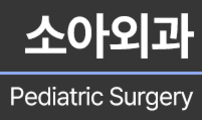 콩에서 새싹이!