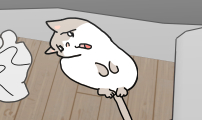 사회초년캣