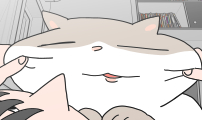 사회초년캣