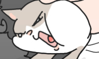사회초년캣