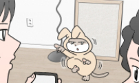 사회초년캣