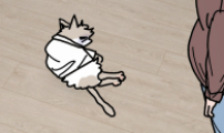 사회초년캣