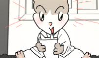 사회초년캣