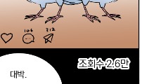 성북구 비둘기 이헌서