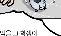 성북구 비둘기 이헌서