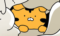 소심한 호랭이 코코