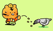 소심한 호랭이 코코