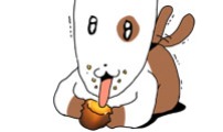 소심한 호랭이 코코
