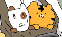 소심한 호랭이 코코