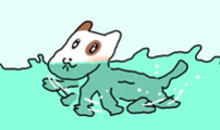소심한 호랭이 코코