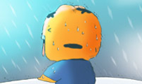 소심한 호랭이 코코