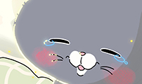 아이돌리