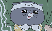 아이돌리