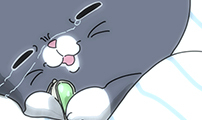 아이돌리