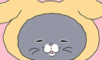 아이돌리