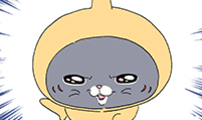 아이돌리