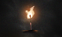 정글쥬스