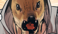 꽤애액