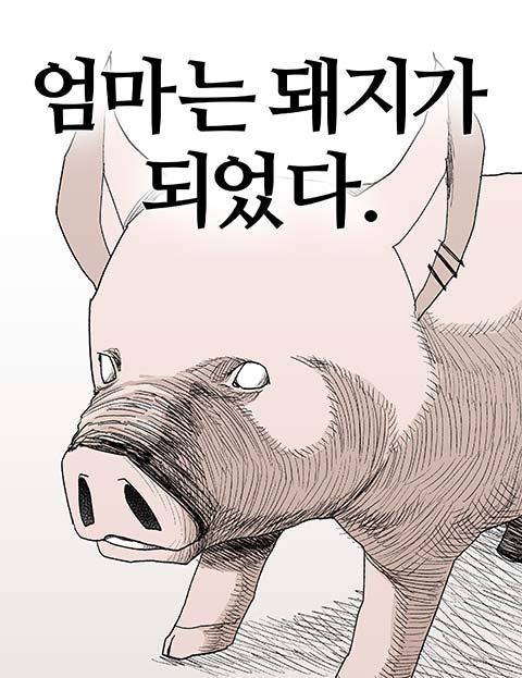 엄마는 돼지가 되었다