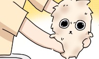 오리짱!